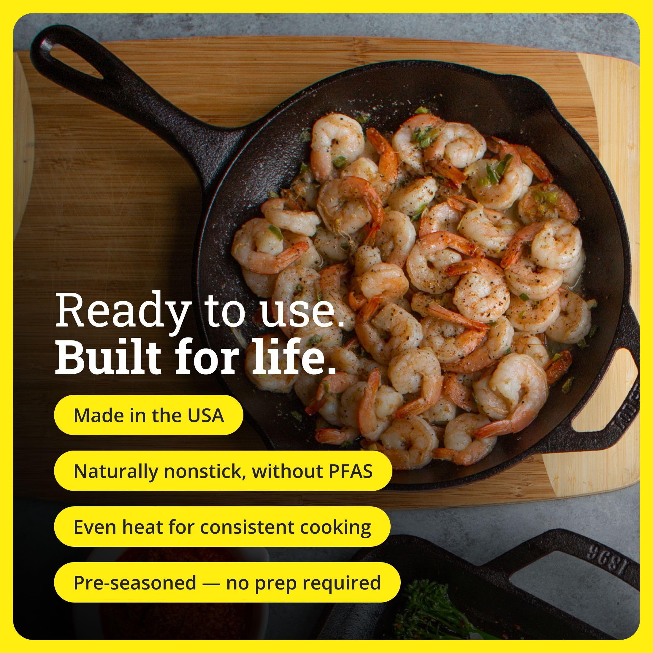 Lodge Seasoned Cast Iron Skillet 10.25 Inches - PFAS-Free, Non-Toxic Cookware - Use with an Oven, Stove, Grill, or Campfire - Naturally Non-Stick & Oven Safe